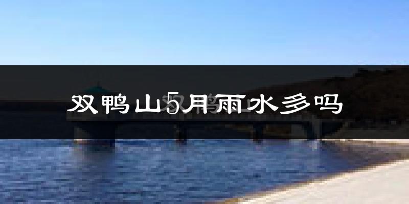 双鸭山5月雨水多吗?