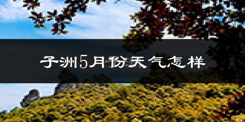 子洲县5月份天气如何?很热吗?