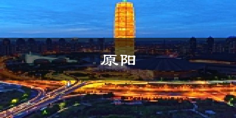原阳天气预报未来一周