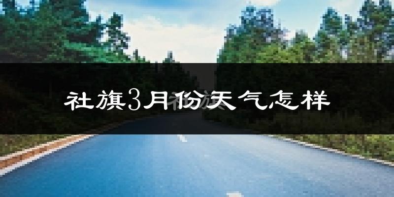 社旗县3月份天气如何?冷吗?