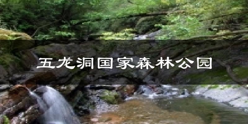 五龙洞国家森林公园气温