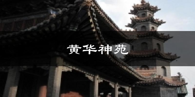 黄华神苑气温