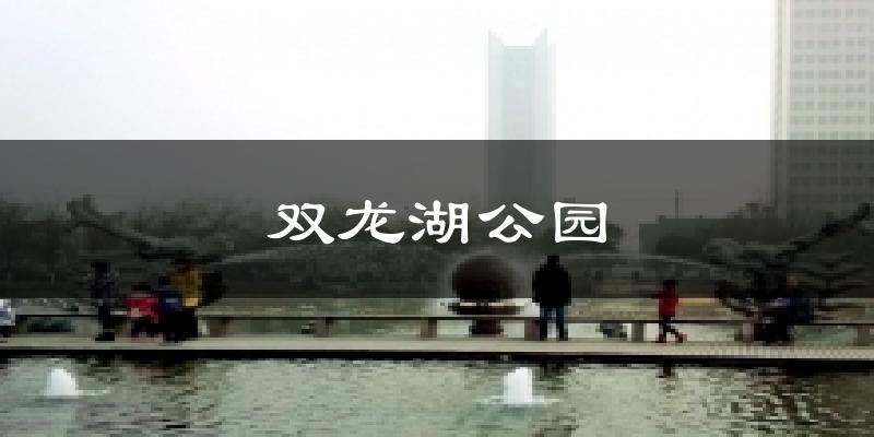 双龙湖公园今日天气