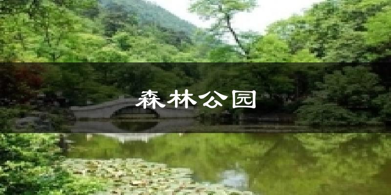 森林公园气温