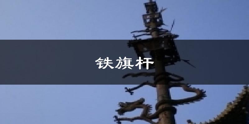 铁旗杆气温