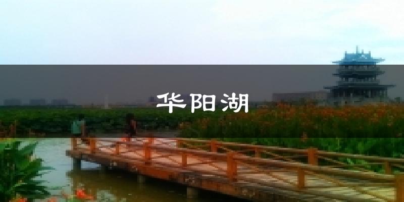 华阳湖今日天气
