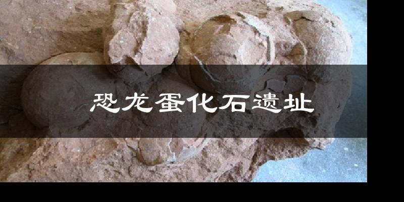 恐龙蛋化石遗址天气预报十五天