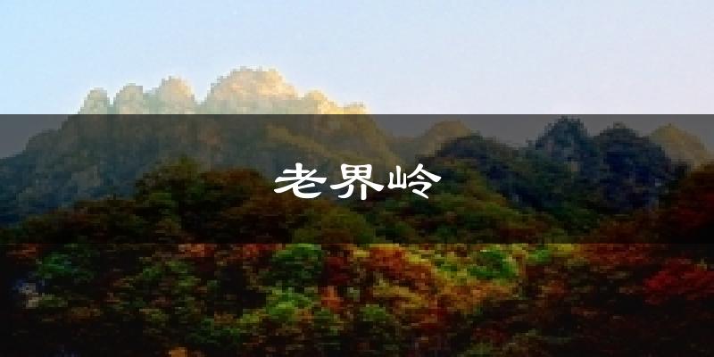 老界岭今日天气