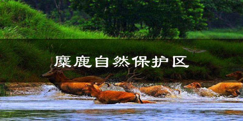 麋鹿自然保护区天气预报十五天