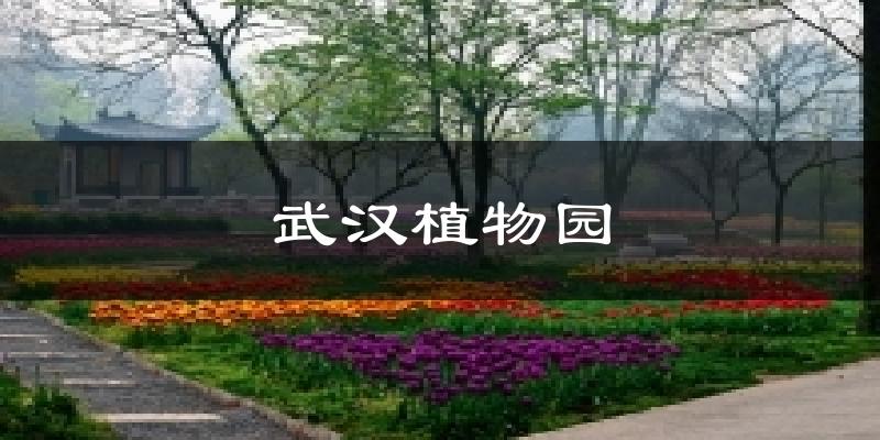 武汉植物园天气预报十五天