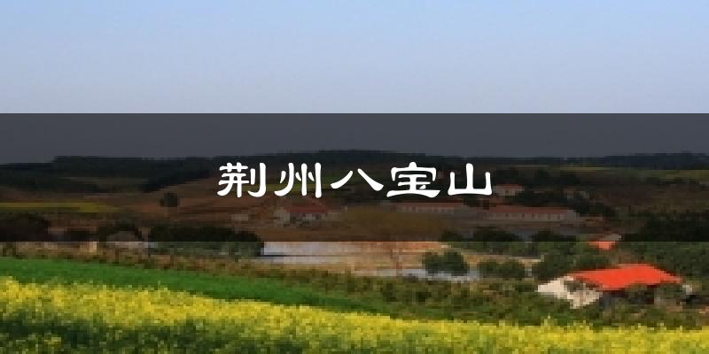 荆州八宝山天气预报十五天