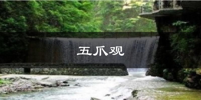 五爪观天气预报十五天