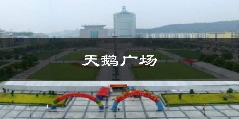 天鹅广场天气预报十五天