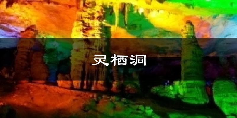 灵栖洞天气预报十五天