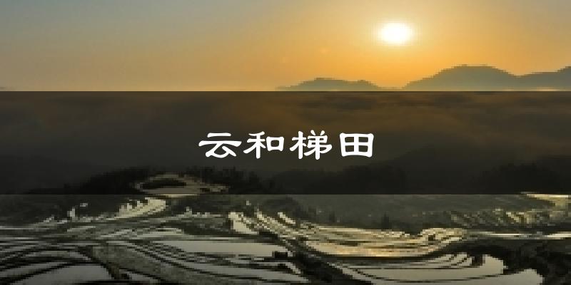 云和梯田天气预报十五天