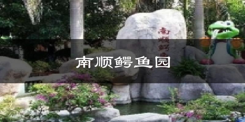 南顺鳄鱼园天气预报十五天
