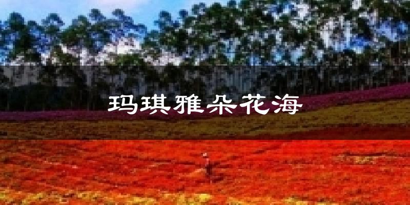 玛琪雅朵花海天气预报十五天