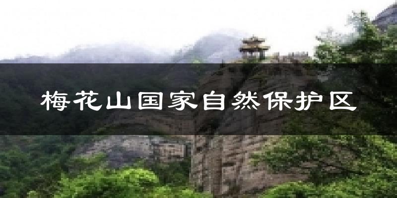梅花山国家自然保护区天气预报十五天