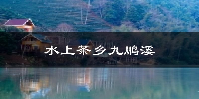 水上茶乡九鹏溪天气预报十五天