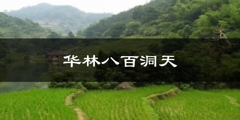 华林八百洞天天气预报十五天
