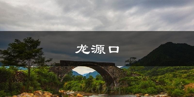 龙源口天气预报十五天