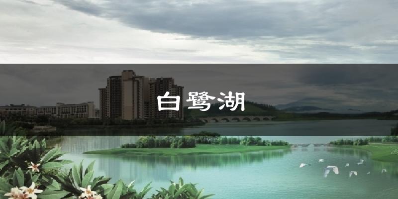 白鹭湖天气预报十五天