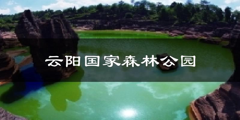 云阳国家森林公园天气预报十五天