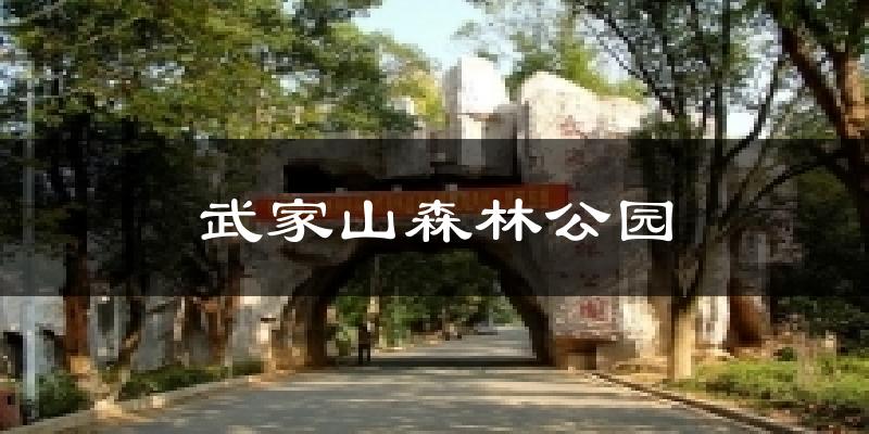 武家山森林公园天气预报十五天
