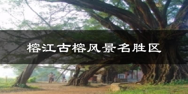 榕江古榕风景名胜区天气预报十五天