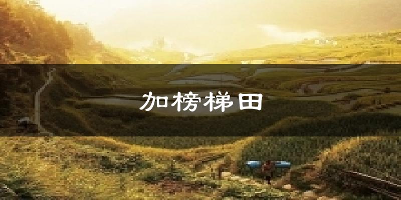 加榜梯田天气预报十五天