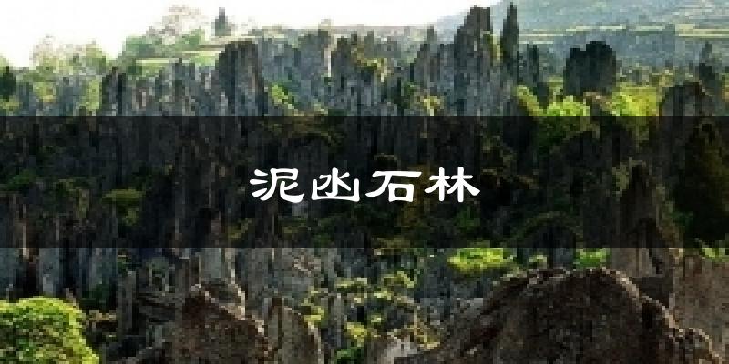 泥凼石林天气预报十五天