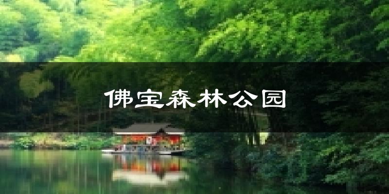 佛宝森林公园天气预报十五天