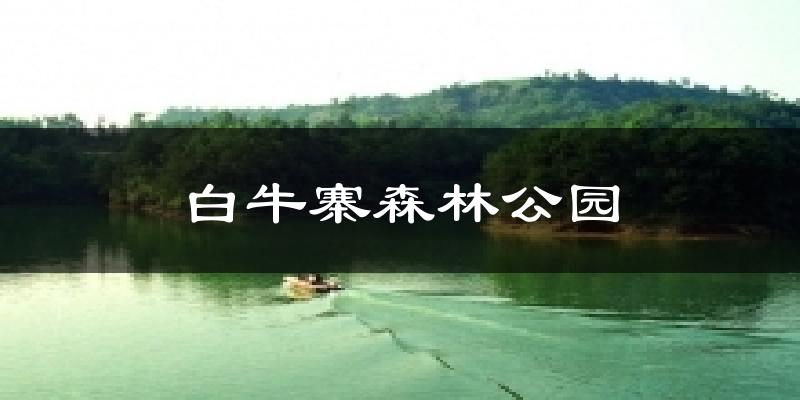 白牛寨森林公园天气预报十五天