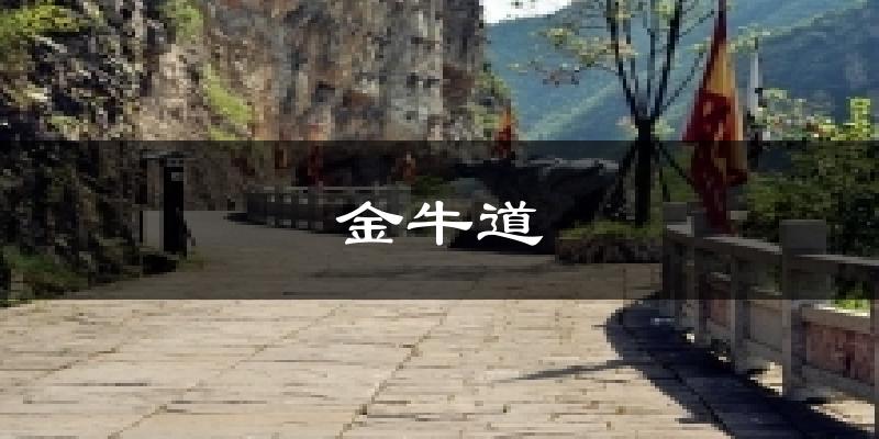 金牛道天气预报十五天