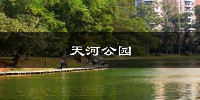 天河公园天气预报十五天