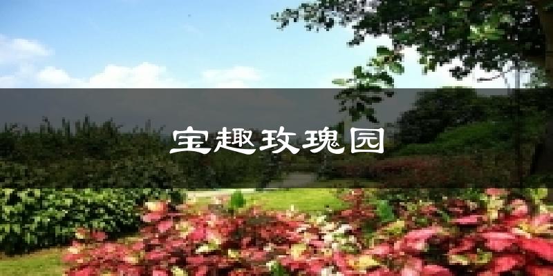 宝趣玫瑰园天气预报十五天
