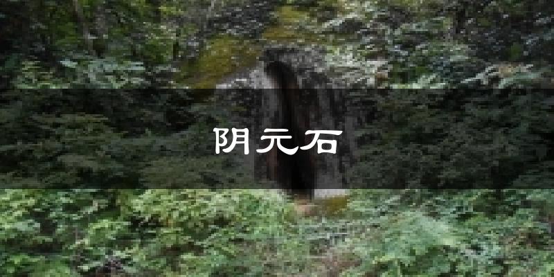 阴元石天气预报十五天
