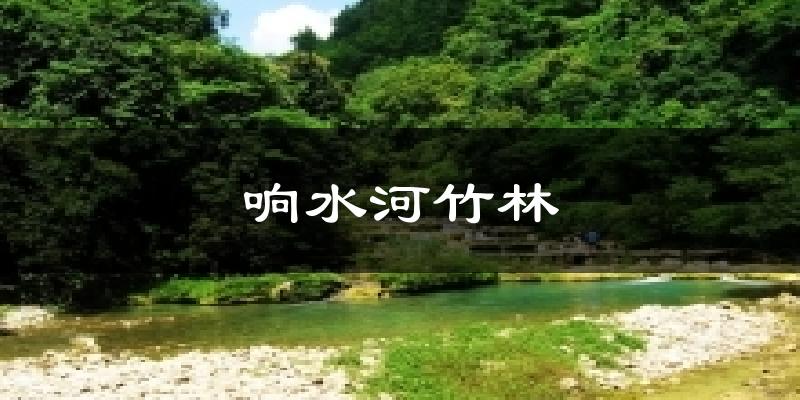 响水河竹林天气预报十五天