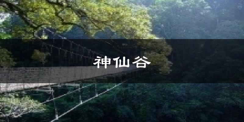 神仙谷天气预报十五天